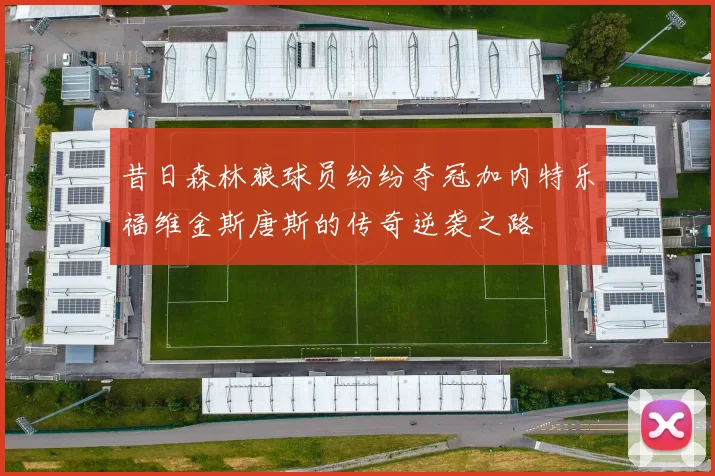 昔日森林狼球员纷纷夺冠加内特乐福维金斯唐斯的传奇逆袭之路