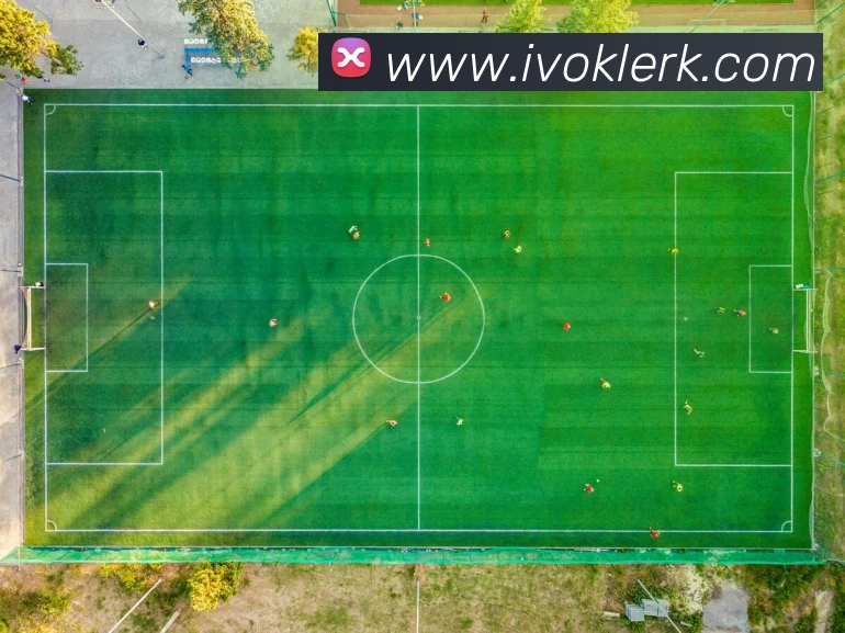 互动解说服务